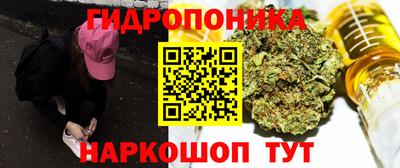 прущие грибы Тулун