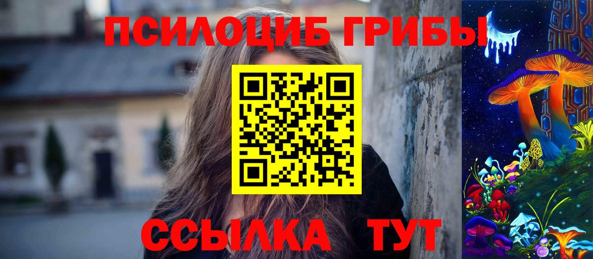 Галлюциногенные грибы Psilocybine cubensis Асбест